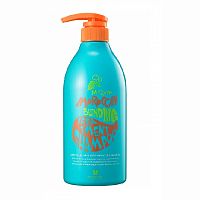 Шампунь-бальзам с маслом арганы Moroccan Treatment Shampoo от MIZON (800 мл)